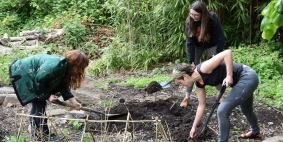 Three female students digging in the Philosophy department's garden.