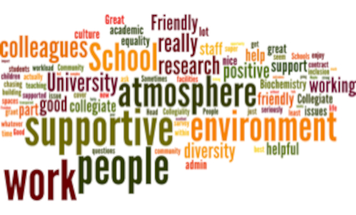 A word cloud of commonly used words in our Staff Survey. The words that are largest in size include: school, atmosphere, supportive, environment, people, work, colleagues.

