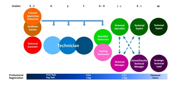 Diagram of the career framework for technical staff