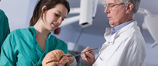 BSc Neuroscience | Study at Bristol | University of Bristol