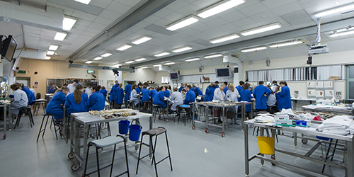Students working in a laboratory class.