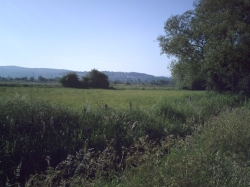 picture of the view when cycling from portishead to langford