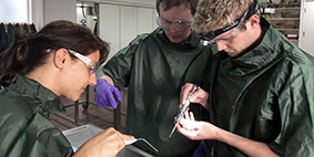 vets participating in a Continuing Professional Development clinical practical