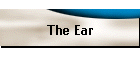 The Ear