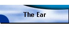 The Ear