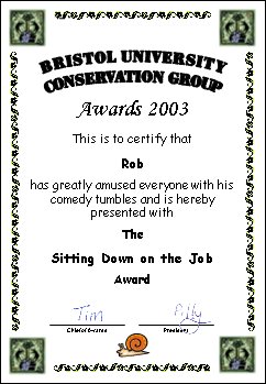 Award certificate