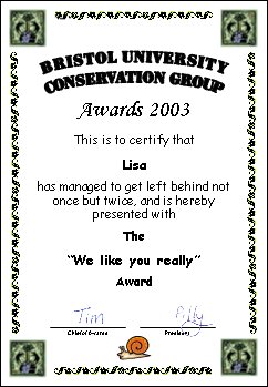 Award certificate