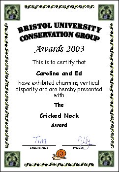 Award certificate