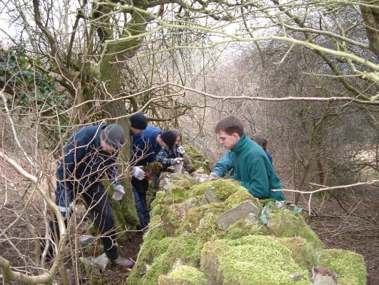 Dry Stone Walling