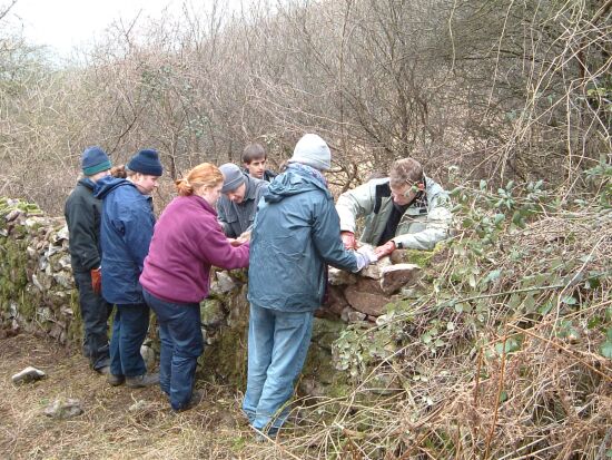 Dry Stone Walling