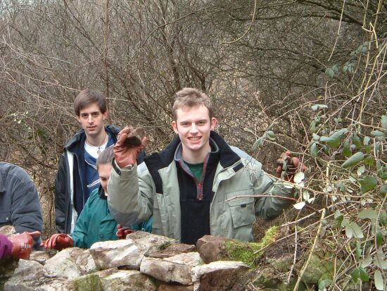 Dry Stone Walling