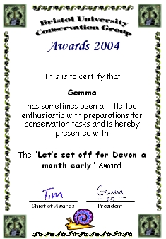 Award certificate