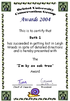 Award certificate