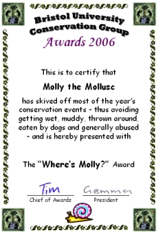 Award 
certificate