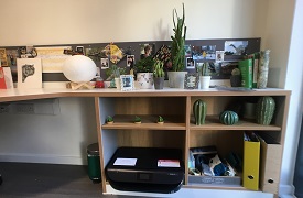 Shelves under a desk containing a printer, some folders and miniature decorations. The desk surface and wall are also decorated with plants and photos.