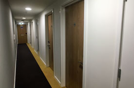 A corridor with several closed doors along one side.