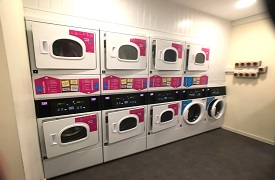 A room with two washing machines a seven tumble dryers along one wall.