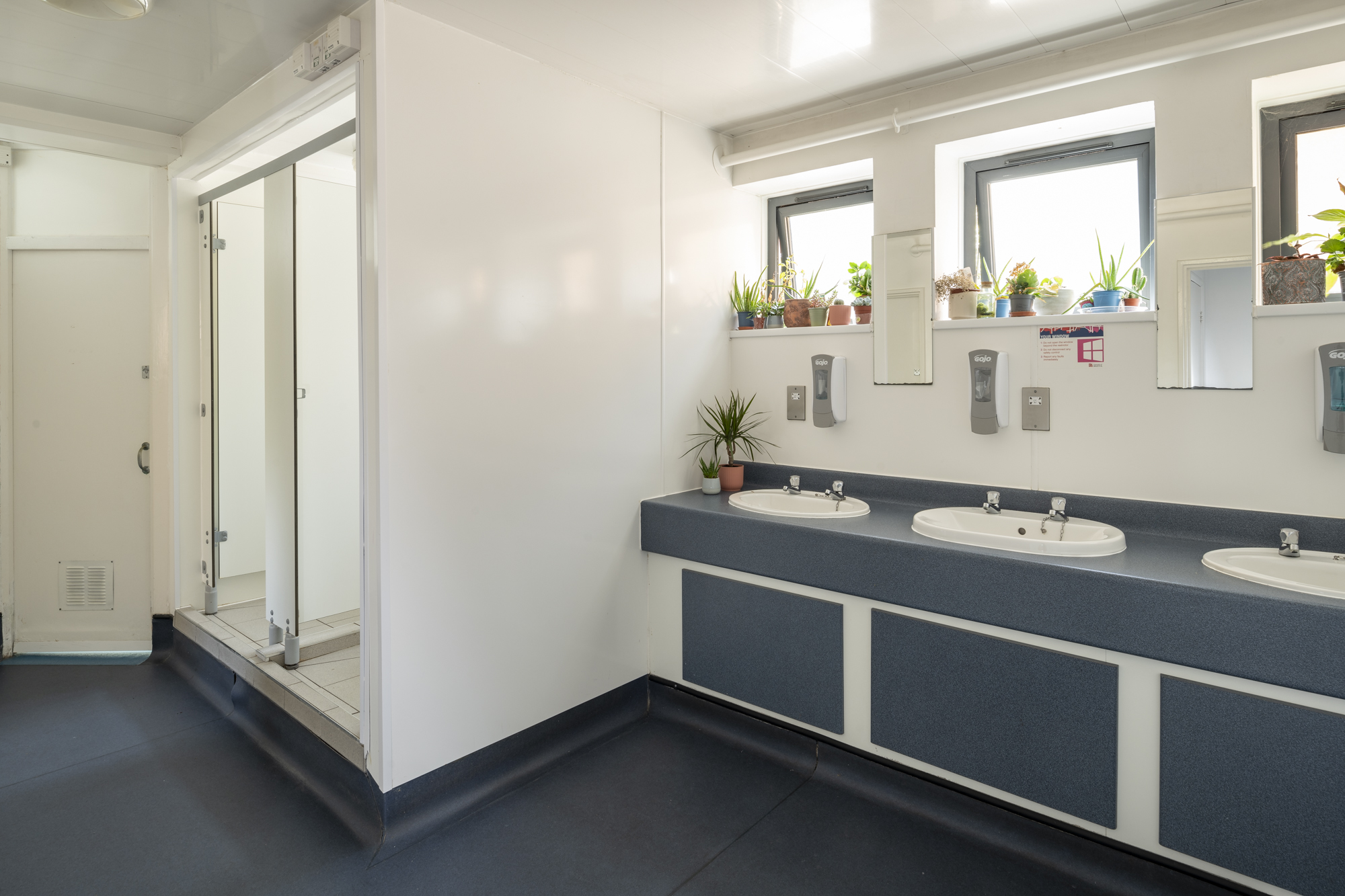 A room with three visible sinks and two shower cubicles. There are windows above with pot plants.