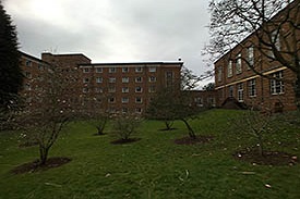 A garden with small trees and bushes, enclosed on three sides by a six-storey red brick building.