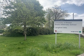 A grassy verge with a tree, some daffodils and a sign saying 'University of Bristol, Bristol Veterinary School, Langford Vets'.