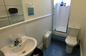 A bathroom with a sink, wall mounted mirror and toilet. At the far end of the room there is a raised shower cubicle.