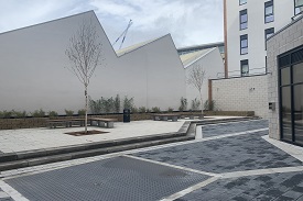 A paved courtyard space with benches on a low terrace. There is a planter running alongside the length of the wall, and young trees planted centrally. 