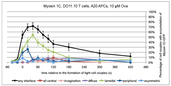 Image of Myosin 1C DO1110