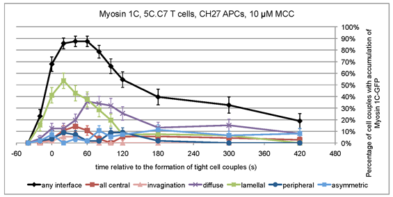 Image of Myosin 1C