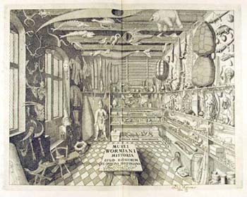 Famous cabinet of curiosities belonging to Ole Worm