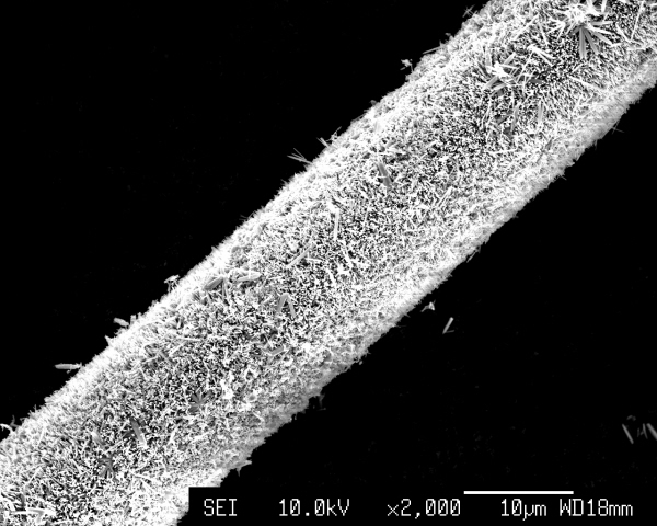 Glass fibre coated with ZnO nanorods