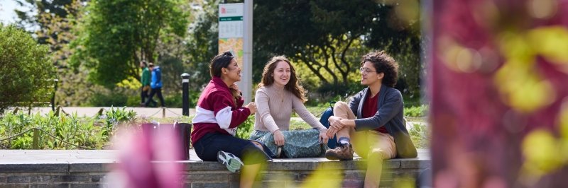 Students in front of colourful houses in the harbourside