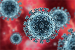 Image of the Covid-19 virus