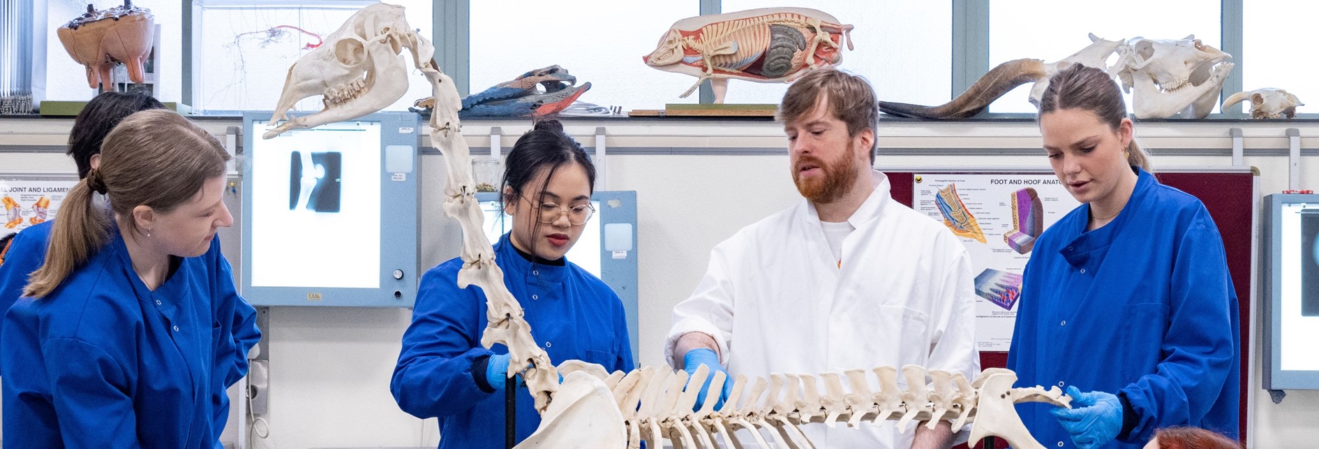 a group of students and a lecturer looking at osteological material