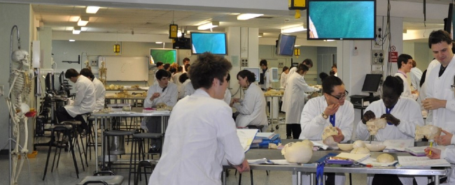 Numerous anatomy students are sat around tables in a large laboratory, they are examining various human bones.
