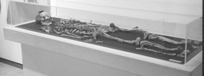 Cremated skeleton of Philip II of Macedon