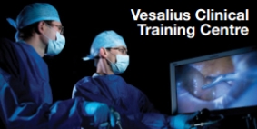 Two surgeons perform laparoscopic surgery while watching their instruments on a monitor. Select to download the 'Vesalius Clinical Training Centre Brochure' PDF.