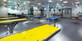 A large, empty dissection room equipped with a number of dissection tables and surgical lighting rigs. Select to go to the 'Vesalius Clinical Training Centre Facilities' page.