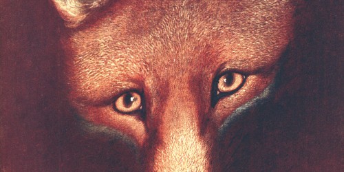 An artist's rendering of a fox with orange, white and black fur and bright, intense eyes