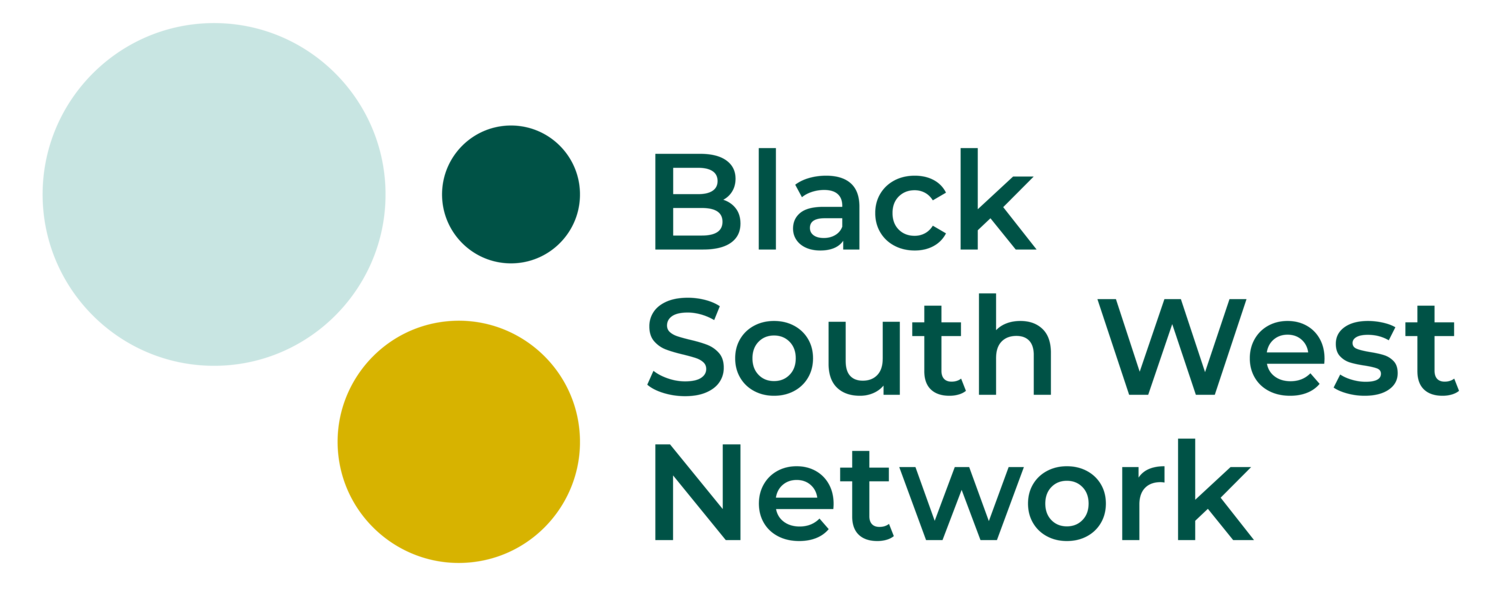 Black South Network Logo