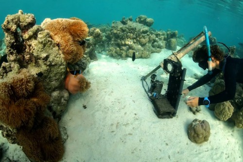 Emma Weschke deploying infrared cameras