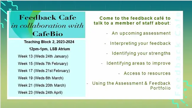 An image containing the dates and times for the feedback cafe for TB2 2024