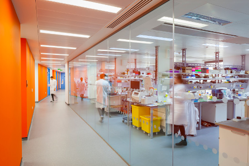 An interior shot of the Biology teaching labs