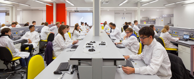 Several students working in the Biology labs