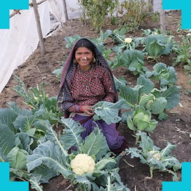 A smiling woman sat in a patch of cauliflower holding cauliflower leaves in her hands 