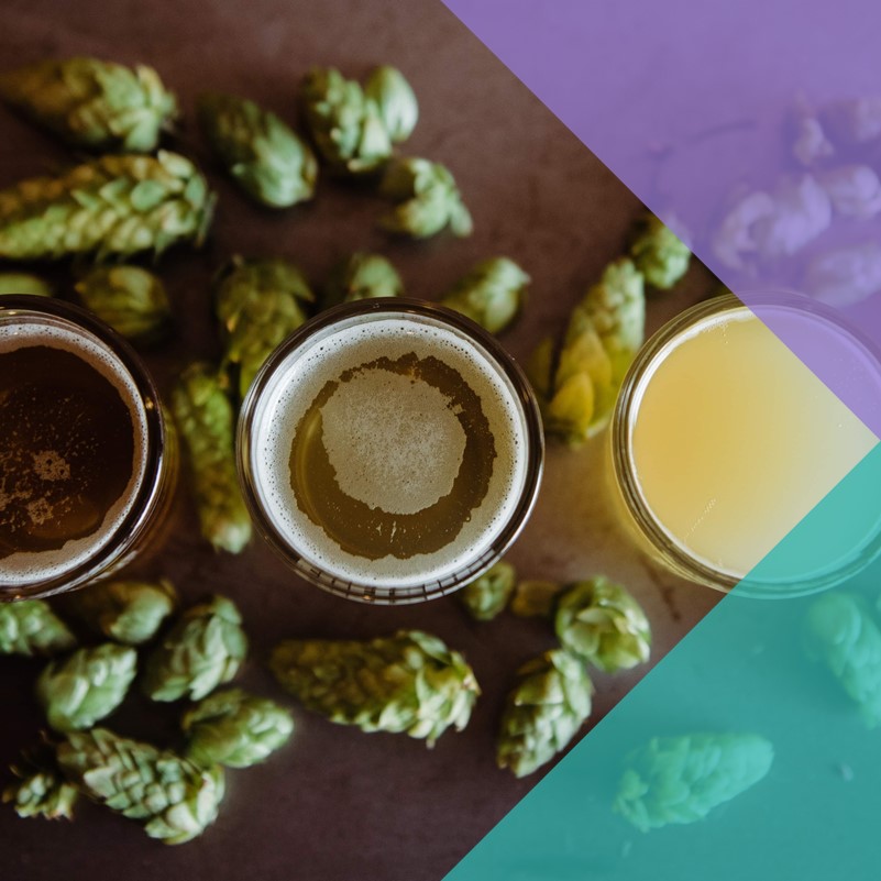 Three pints of beer on a table surrounded by hops pictured from a birds eye view