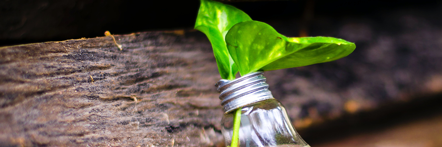 Two bright green leaves in a lightbulb