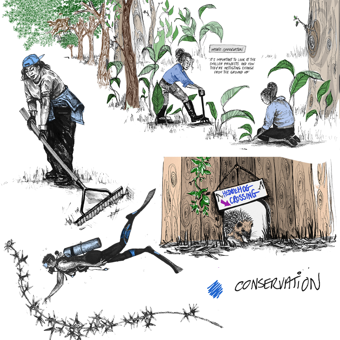 Jasmine Thompson Illustrations that show the theme of Conservation