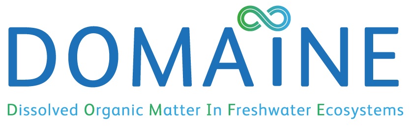 Dissolved Organic Matter in Freshwater Ecosystems (Domaine) project logo 