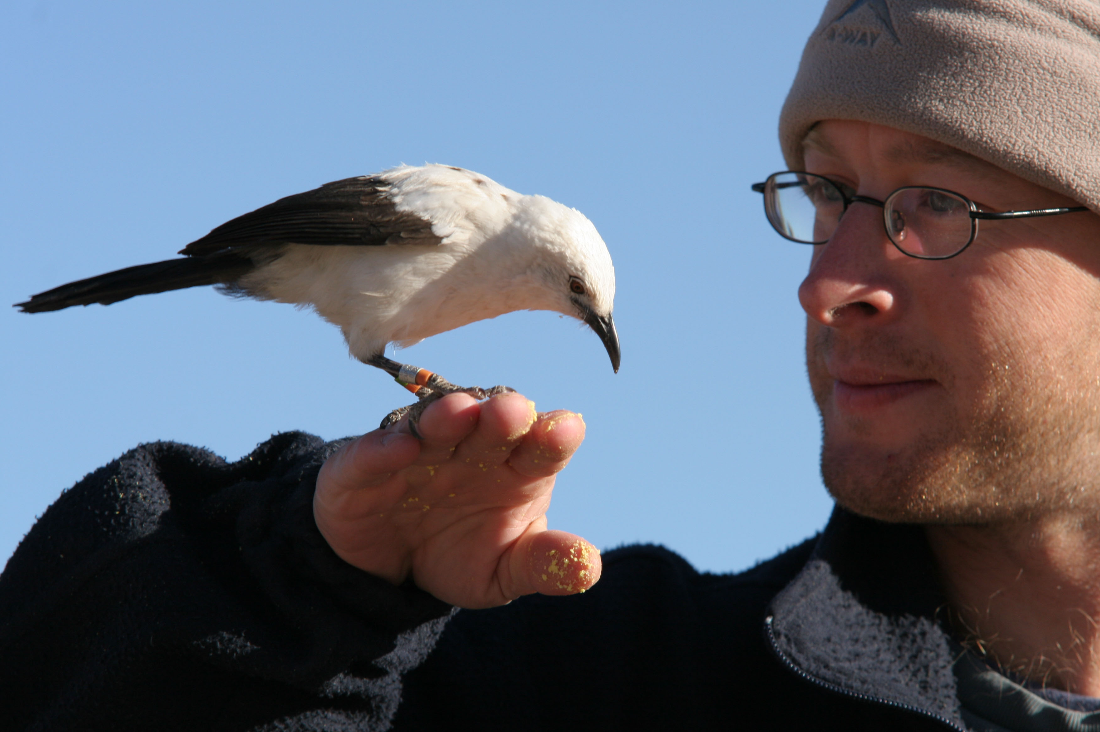 Andy Radford holds a bird in his hand