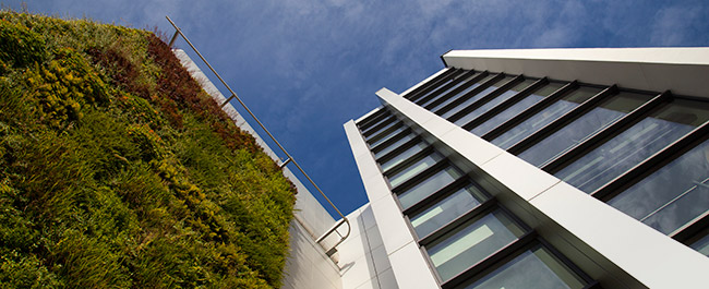 Image of the Life Sciences Building with grassed exterior